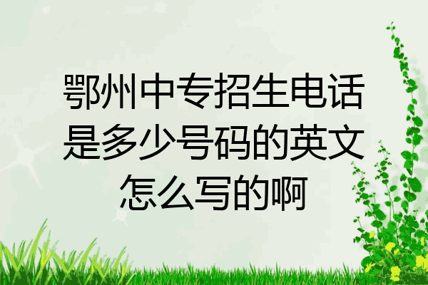 鄂州中专招生电话是多少号码的英文怎么写的啊