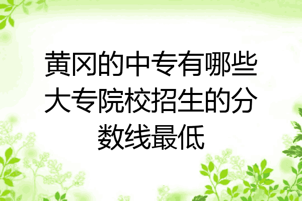 黄冈的中专有哪些大专院校招生的分数线最低
