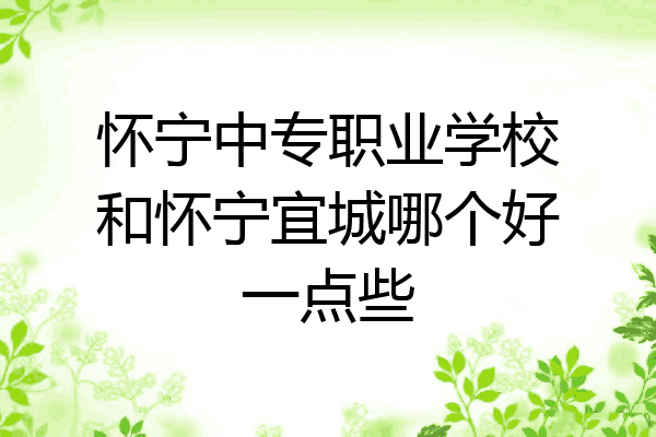 怀宁中专职业学校和怀宁宜城哪个好一点些