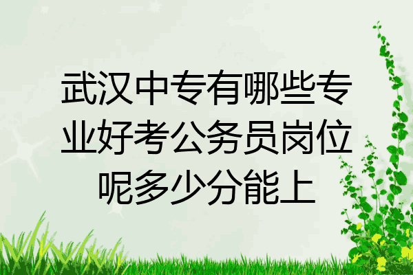 武汉中专有哪些专业好考公务员岗位呢多少分能上