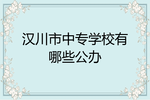 汉川市中专学校有哪些公办