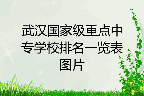 武汉国家级重点中专学校排名一览表图片