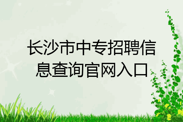 长沙市中专招聘信息查询官网入口