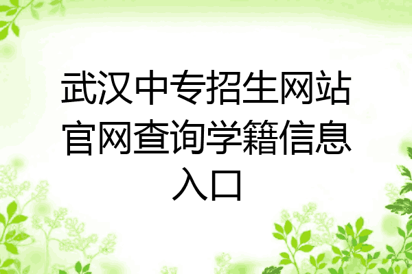 武汉中专招生网站官网查询学籍信息入口