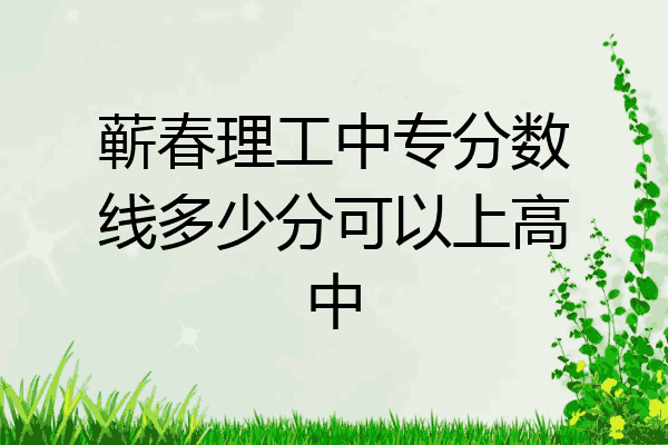 蕲春理工中专分数线多少分可以上高中