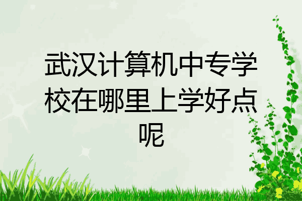 武汉计算机中专学校在哪里上学好点呢