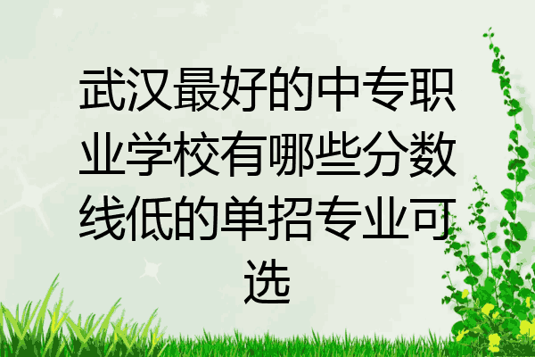 武汉最好的中专职业学校有哪些分数线低的单招专业可选