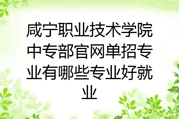 咸宁职业技术学院中专部官网单招专业有哪些专业好就业