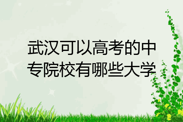 武汉可以高考的中专院校有哪些大学