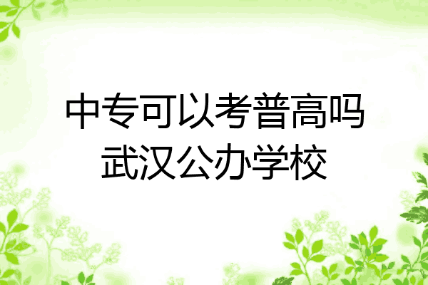 中专可以考普高吗武汉公办学校