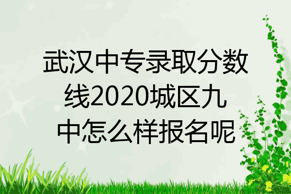 武汉中专录取分数线2020城区九中怎么样报名呢