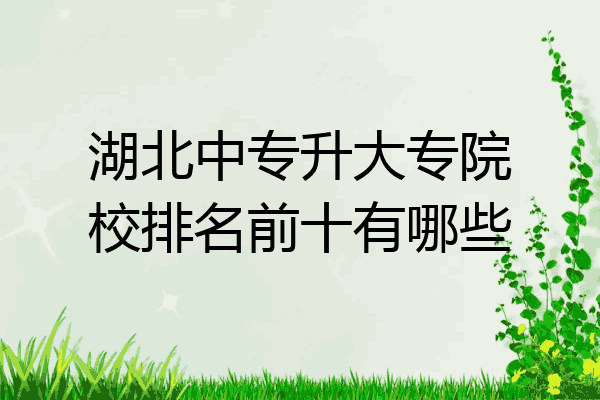 湖北中专升大专院校排名前十有哪些