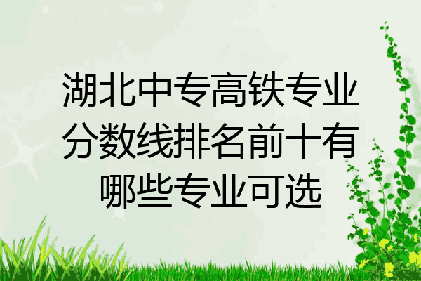 湖北中专高铁专业分数线排名前十有哪些专业可选