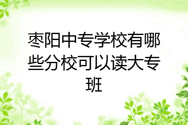 枣阳中专学校有哪些分校可以读大专班