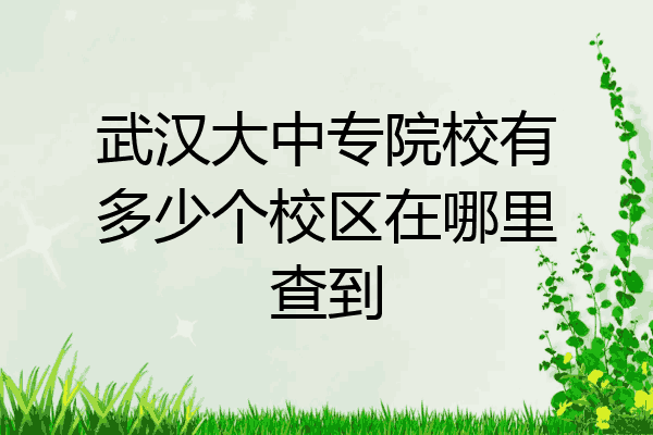 武汉大中专院校有多少个校区在哪里查到