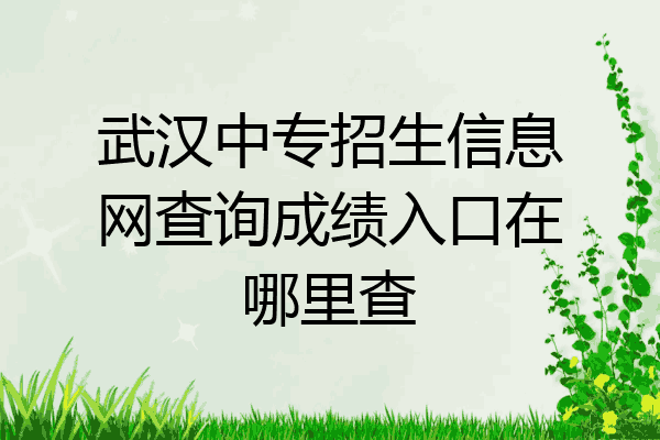 武汉中专招生信息网查询成绩入口在哪里查