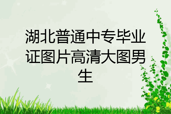 湖北普通中专毕业证图片高清大图男生