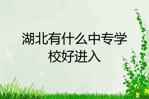 湖北有什么中专学校好进入