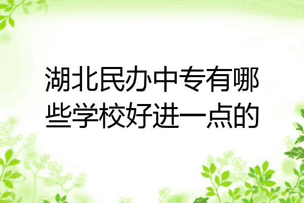 湖北民办中专有哪些学校好进一点的