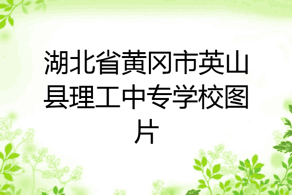 湖北省黄冈市英山县理工中专学校图片