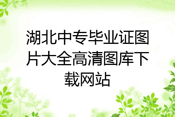 湖北中专毕业证图片大全高清图库下载网站