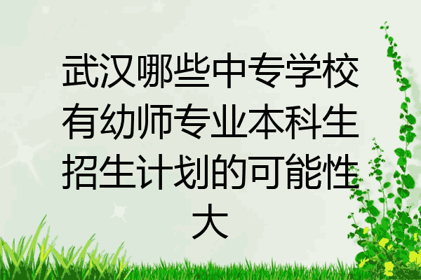 武汉哪些中专学校有幼师专业本科生招生计划的可能性大