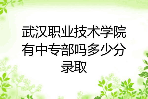 武汉职业技术学院有中专部吗多少分录取