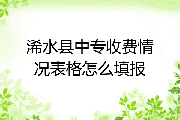 浠水县中专收费情况表格怎么填报