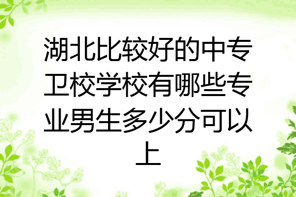湖北比较好的中专卫校学校有哪些专业男生多少分可以上