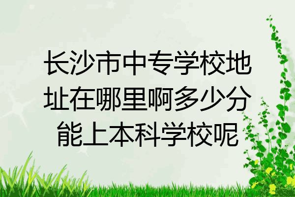 长沙市中专学校地址在哪里啊多少分能上本科学校呢