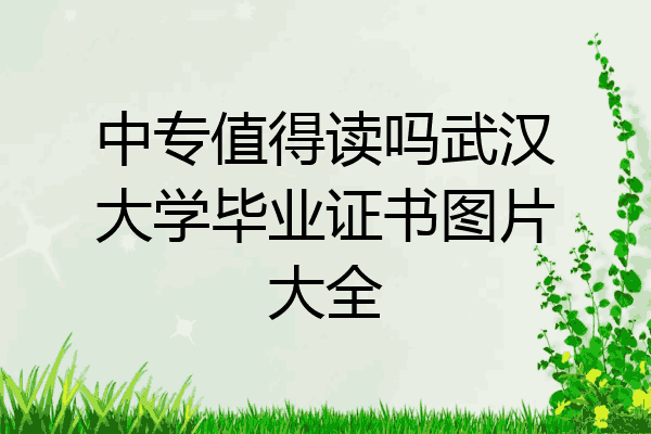 中专值得读吗武汉大学毕业证书图片大全