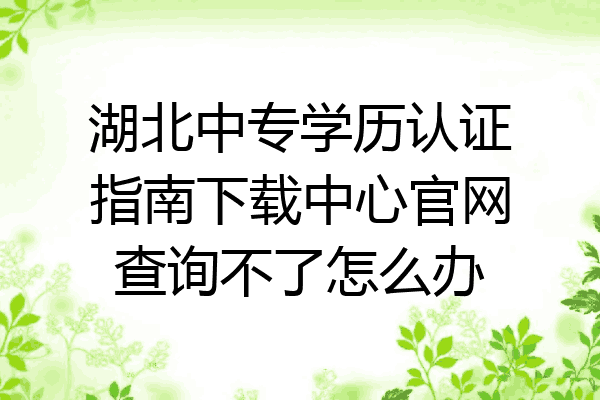 湖北中专学历认证指南下载中心官网查询不了怎么办