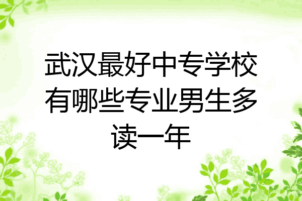 武汉最好中专学校有哪些专业男生多读一年