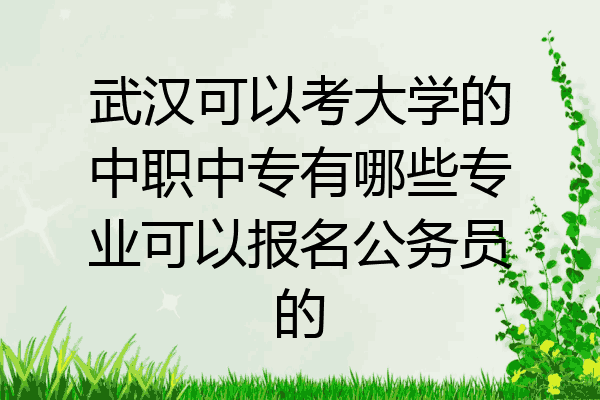 武汉可以考大学的中职中专有哪些专业可以报名公务员的