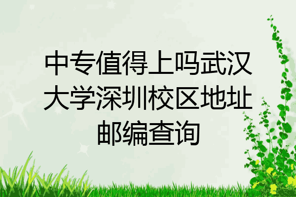 中专值得上吗武汉大学深圳校区地址邮编查询