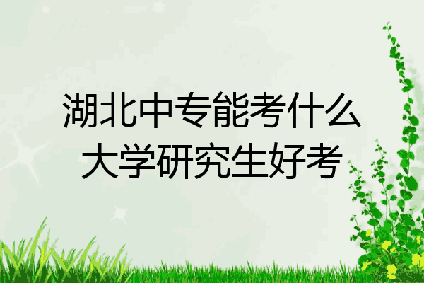 湖北中专能考什么大学研究生好考
