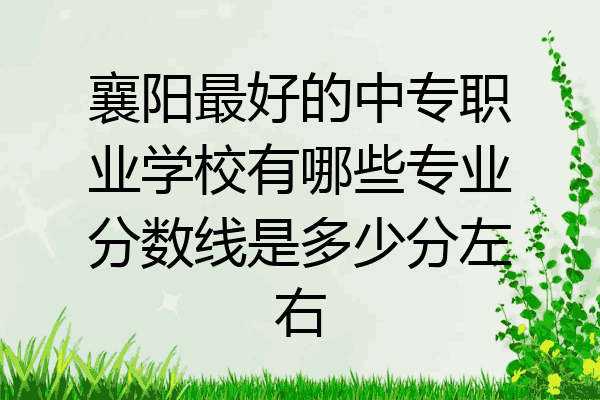 襄阳最好的中专职业学校有哪些专业分数线是多少分左右