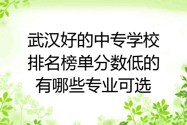 武汉好的中专学校排名榜单分数低的有哪些专业可选