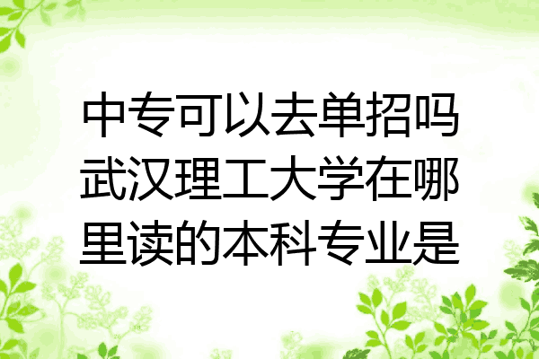 中专可以去单招吗武汉理工大学在哪里读的本科专业是
