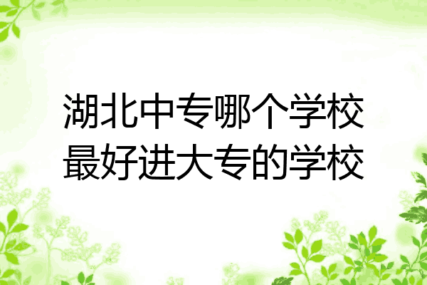 湖北中专哪个学校最好进大专的学校