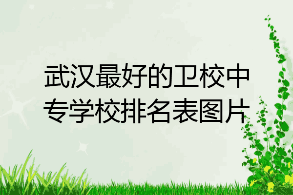 武汉最好的卫校中专学校排名表图片