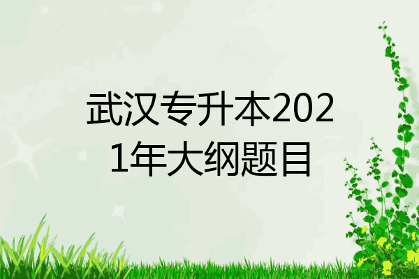 武汉专升本2021年大纲题目