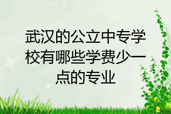 武汉的公立中专学校有哪些学费少一点的专业