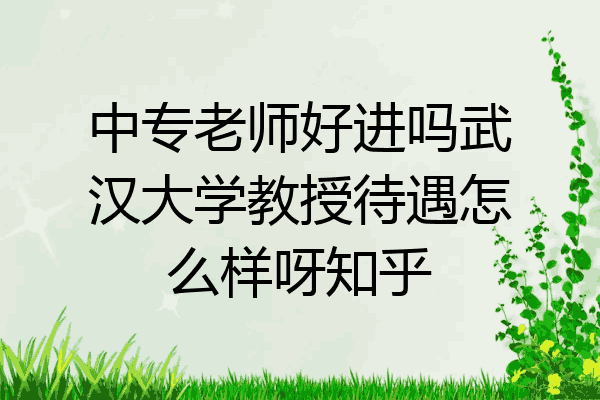 中专老师好进吗武汉大学教授待遇怎么样呀知乎