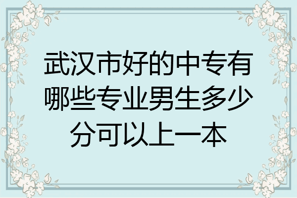 武汉市好的中专有哪些专业男生多少分可以上一本