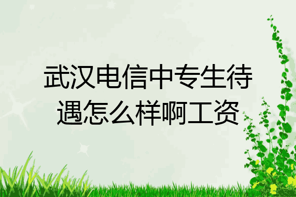 武汉电信中专生待遇怎么样啊工资