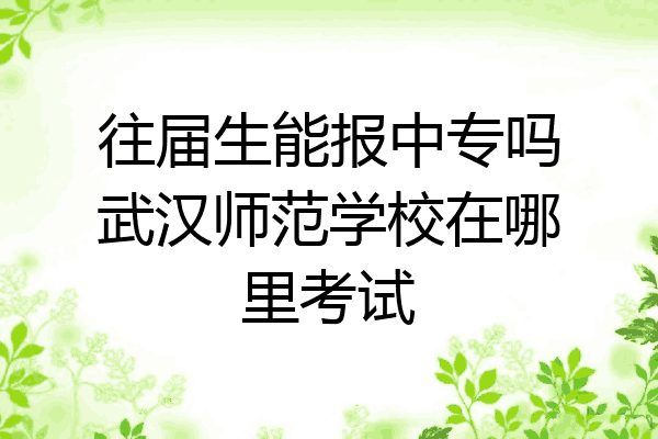 往届生能报中专吗武汉师范学校在哪里考试