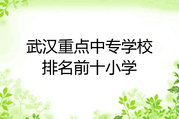 武汉重点中专学校排名前十小学