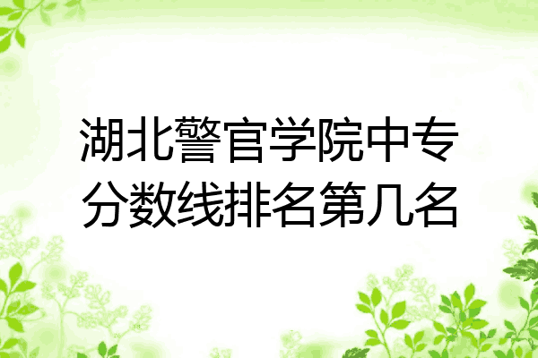 湖北警官学院中专分数线排名第几名