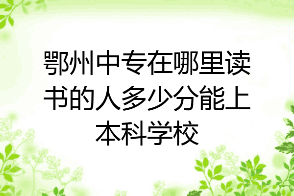 鄂州中专在哪里读书的人多少分能上本科学校